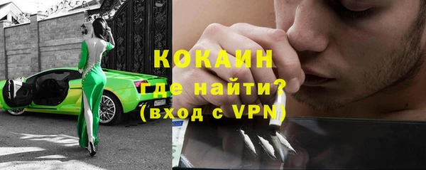 стафф Алексин