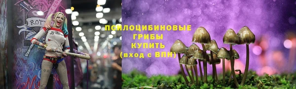 сатива Армянск