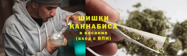 сатива Армянск