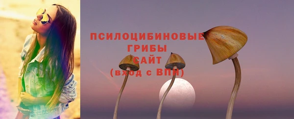 круглые Алексеевка