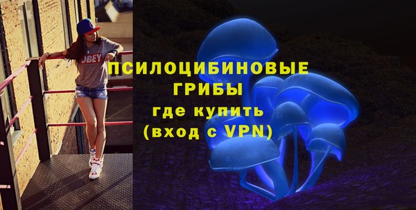 дмт Алзамай