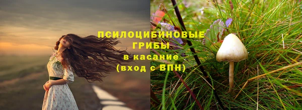 стафф Алексин