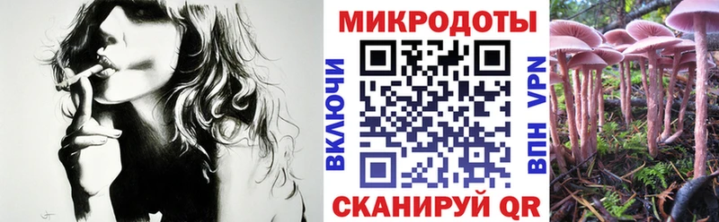 Галлюциногенные грибы MAGIC MUSHROOMS Кадников